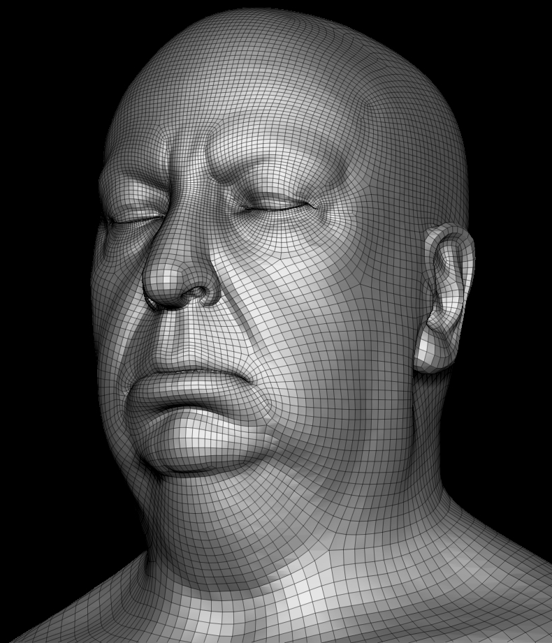 faceTopology_CROPPED2.jpg